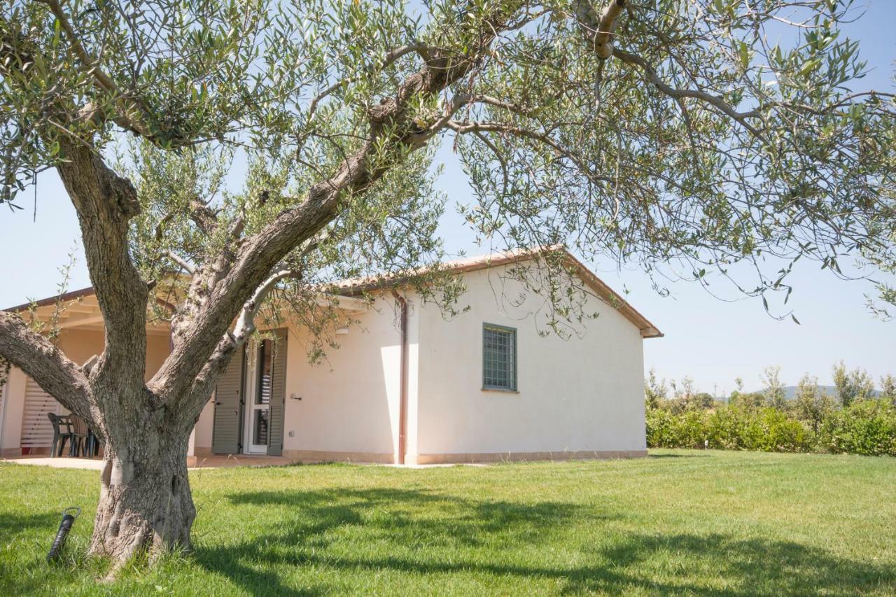 Agriturismo Il Mirto Pescia Romana Εξωτερικό φωτογραφία